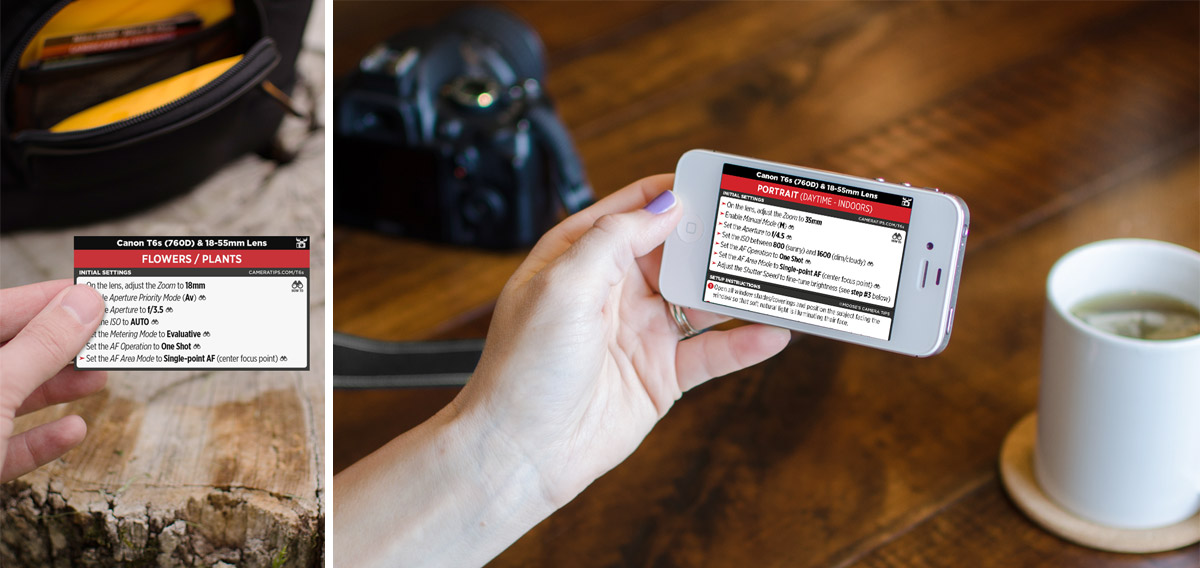 Canon T6s (760D) Cheat Sheet for Portraits and Nature Photography