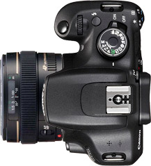 Canon Rebel T7 (EOS 2000D) + 50mm f/1.4