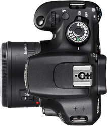 Canon Rebel T7 (EOS 2000D) + 50mm f/1.8