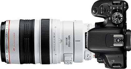 Canon Rebel T7i (EOS 800D) + 100-400mm f/4.5-5.6