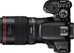 Canon Rebel T7i (EOS 800D) + 100mm f/2.8
