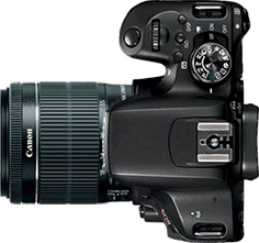 Canon Rebel T7i (EOS 800D) + 18-55mm f/4-5.6