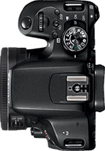 Canon Rebel T7i (EOS 800D) + 24mm f/2.8 STM