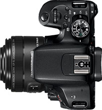Canon Rebel T7i (EOS 800D) + 35mm f/2.8