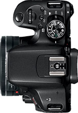 Canon Rebel T7i (EOS 800D) + 40mm f/2.8 STM