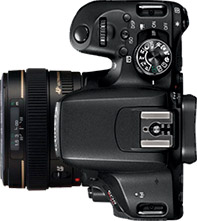 Canon Rebel T7i (EOS 800D) + 50mm f/1.4