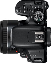 Canon Rebel T7i (EOS 800D) + 50mm f/1.8