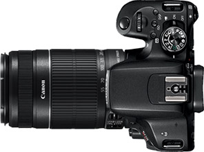 Canon Rebel T7i (EOS 800D) + 55-250mm f/4-5.6
