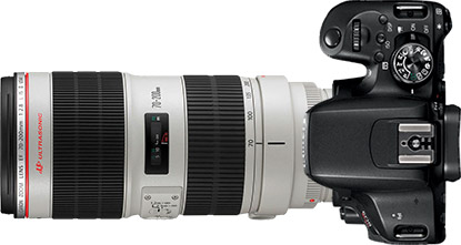 Canon Rebel T7i (EOS 800D) + 70-200mm f/2.8