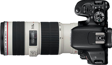 Canon Rebel T7i (EOS 800D) + 70-200mm f/4