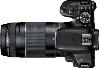 Canon Rebel T7i (EOS 800D) + 75-300mm f/4-5.6