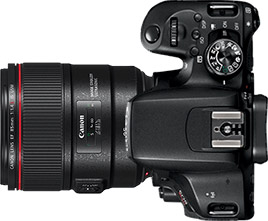 Canon Rebel T7i (EOS 800D) + 85mm f/1.4