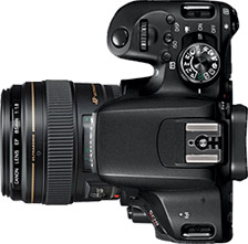 Canon Rebel T7i (EOS 800D) + 85mm f/1.8