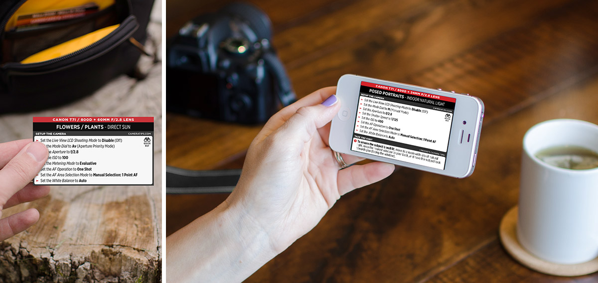 Canon Rebel T7i (EOS 800D) Cheat Sheet for Portraits and Nature Photography