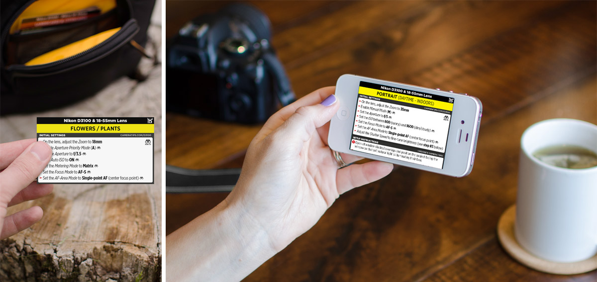 Nikon D3100 Cheat Sheet for Portraits and Nature Photography
