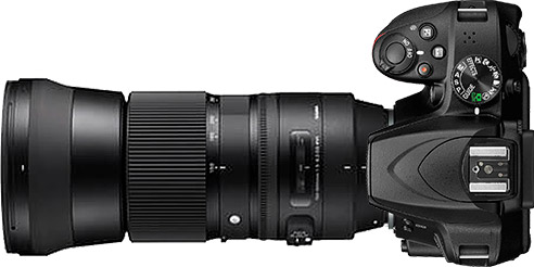 Nikon D3400 + 150-600mm f/5-6.3