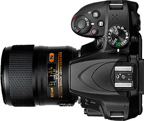 Nikon D3400 + 60mm f/2.8