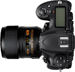Nikon D500 + 60mm f/2.8