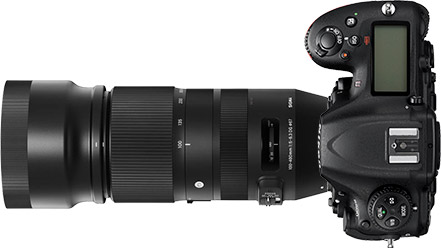 Nikon D500 + 100-400mm f/5-6.3
