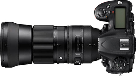 Nikon D500 + 150-600mm f/5-6.3