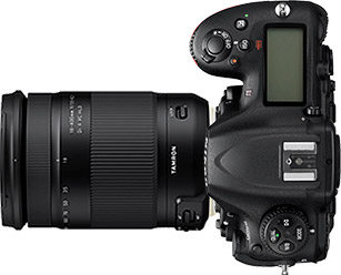 Nikon D500 + Tamron/Sigma All-in-One Lens