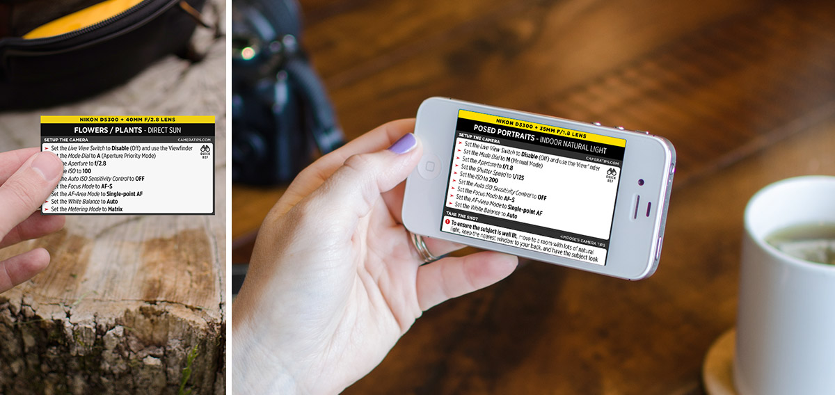 Nikon D5300 Cheat Sheet for Portraits and Nature Photography