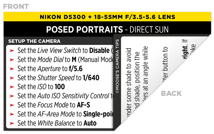 Sample Nikon D5300 Cheat Sheet