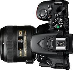 Nikon D5500 + 40mm f/2.8 STM