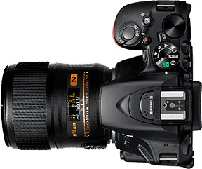 Nikon D5500 + 60mm f/2.8