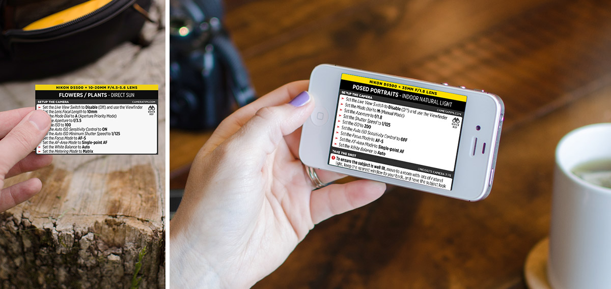 Nikon D5500 Cheat Sheet for Portraits and Nature Photography