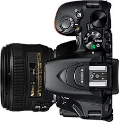 Nikon D5600 + 50mm f/1.4