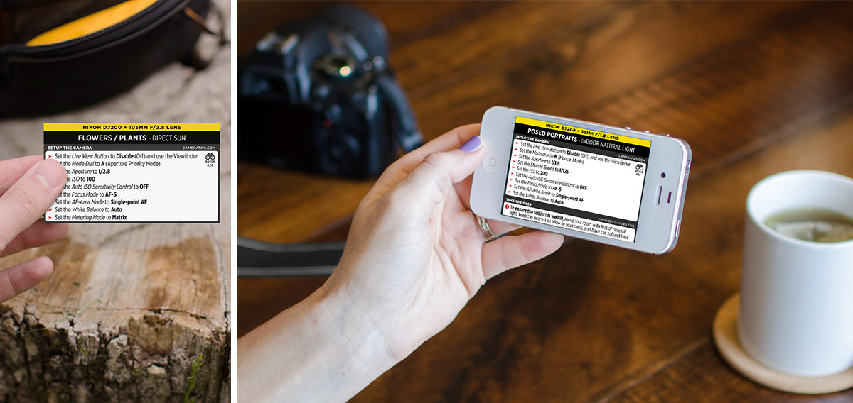 Nikon D7200 Cheat Sheet for Portraits and Nature Photography