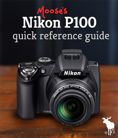 Nikon P100 Quick Guide: Tips & Resources for Beginners