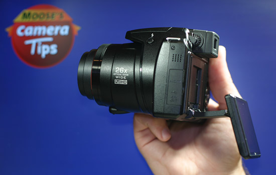 Nikon P100 LCD