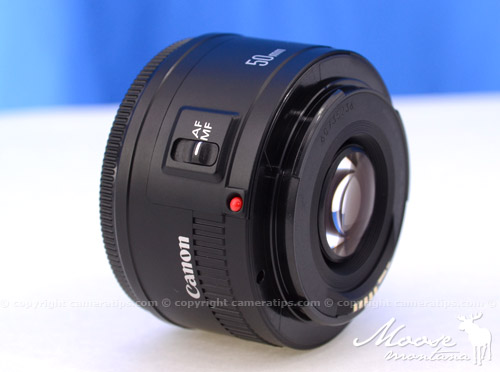 Canon 50mm f1.8 II EF lens AF/MF - © Copyright Cameratips.com