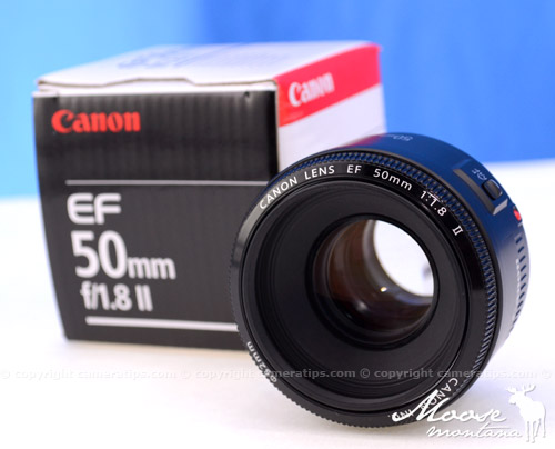 Canon 50mm f1.8 II EF lens box - © Copyright Cameratips.com