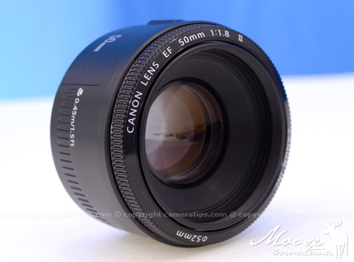 Canon 50mm f1.8 II EF lens specs - © Copyright Cameratips.com