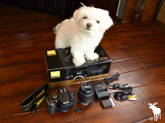 Nikon D5100 Kit