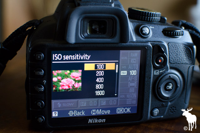 Nikon D3100 ISO Sensitivity