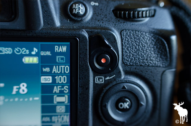 Nikon D3100 Live View Button