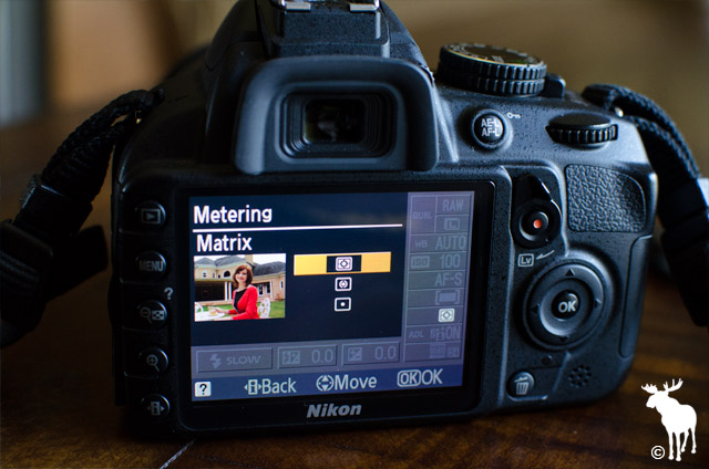 Nikon D3100 Matrix Metering