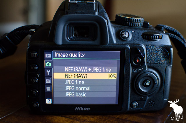 Nikon D3100 Image Quality set to NEF RAW