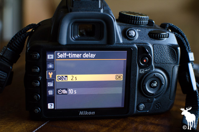 Nikon D3100 Self-timer Delay