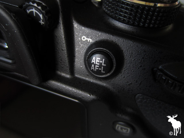 Nikon D3200 AE-L/AF-L Button