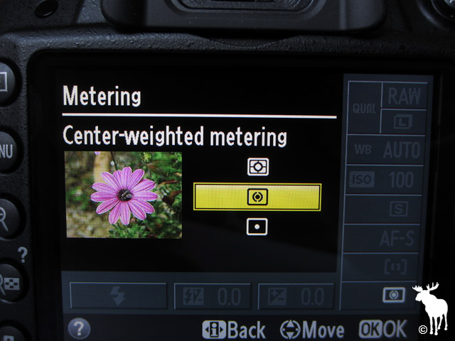 Nikon D3200 Center-weighted Metering