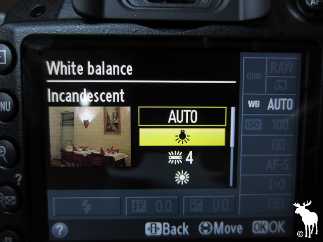 Nikon D3200 Incandescent White Balance