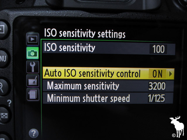 Nikon D3200 ISO Sensitivity Settings