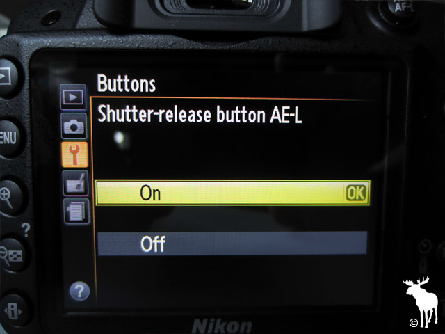 Nikon D3200 Shutter-release Button AE-L