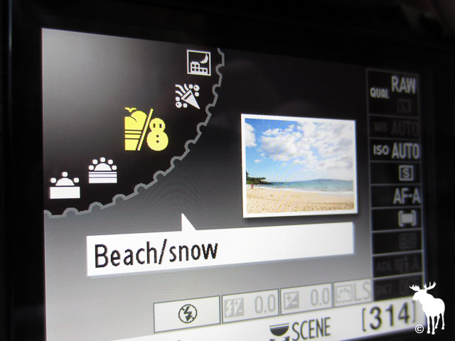 Nikon D5100 Beach/Snow Scene Mode