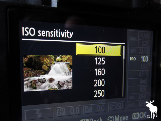 Nikon D5100 ISO set to 100